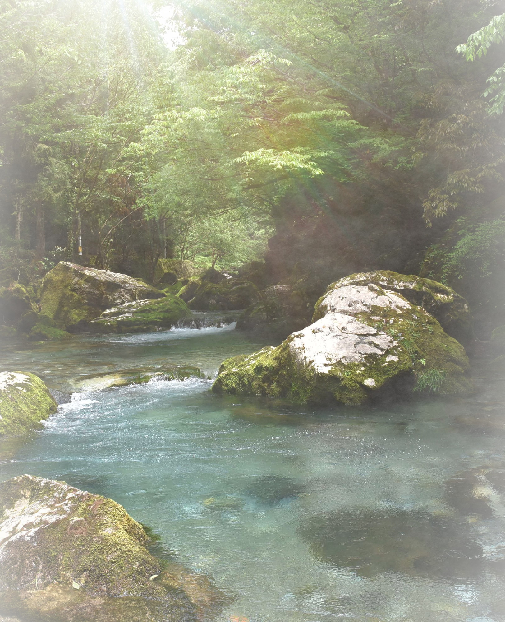 令和7年度 後学期 社会人公開授業