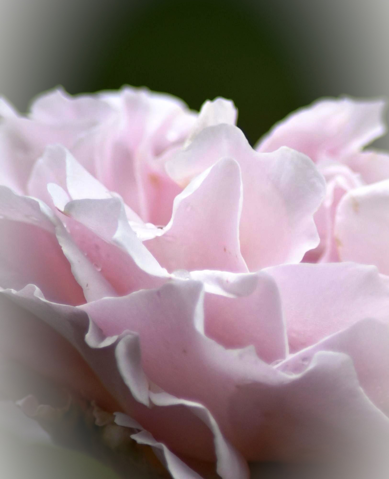 令和7年度 後学期 単位互換制度